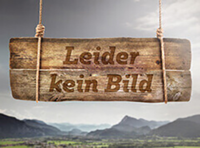 Ortsplan Bad Häring und Schwoich