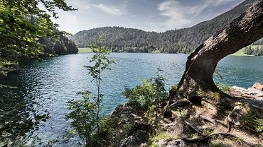 Sommerliche Erlebnisse im Kufsteinerland