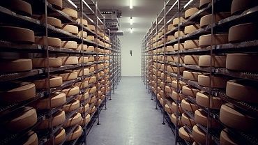 Hatzenstädt Alpine dairy Niederndorferberg
