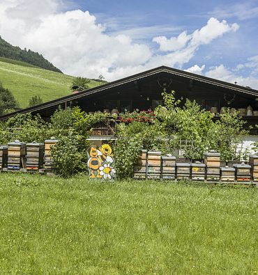 Natura & Vitalità