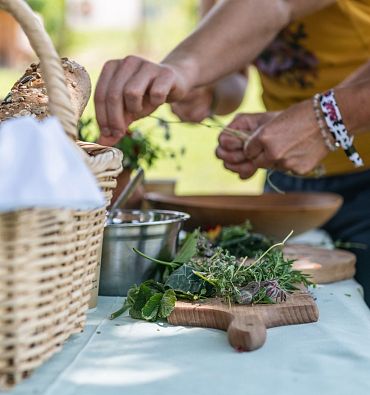 Programma di attività