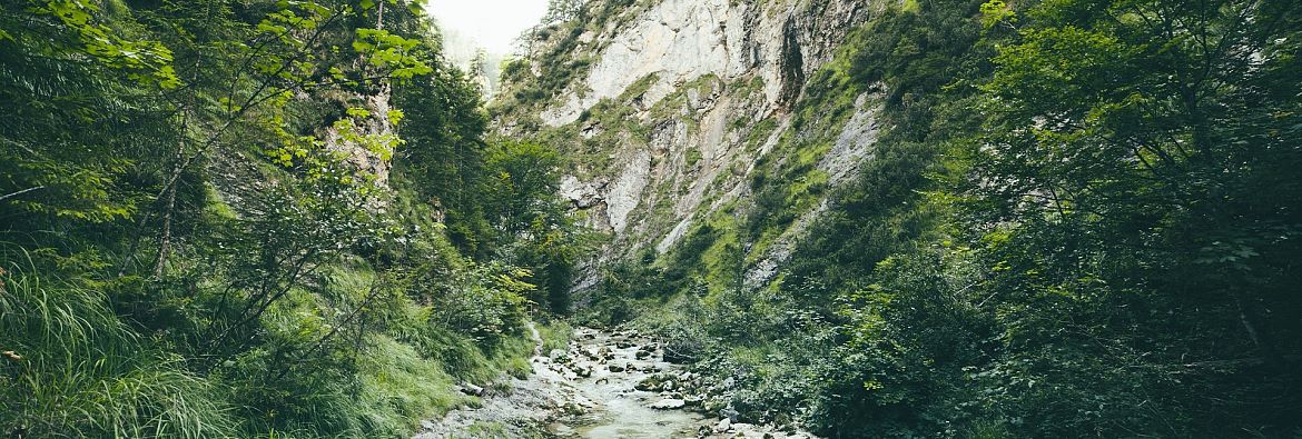 Glemmbach Gorge Thiersee - the path of water