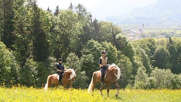 Reiten & Pferdekutschenfahren