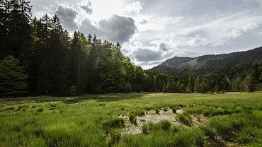 Hochmoor Riedenberg