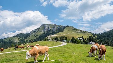 Escursioni a piedi in sintesi