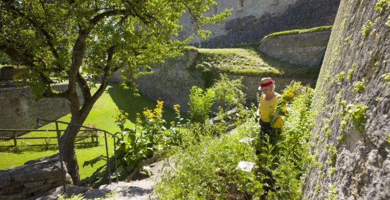 Giardino delle piante e delle erbe officinali sulla Fortezza Kufstein