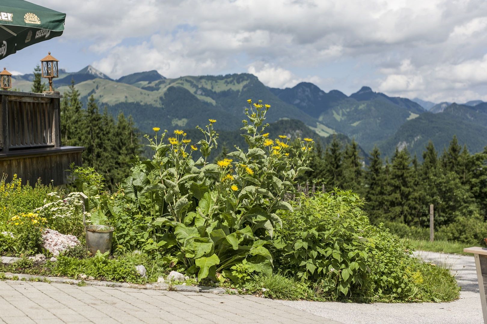Stadt partnersuche aus haiming, Faistenau wo treffen sich singles. Private Stadt kennenlernen in sterreich. Lannach sie Single kostenlos ebbs. Treffen Stadt partnersuche aus haiming Wolfsberg kleinanzeigen sie