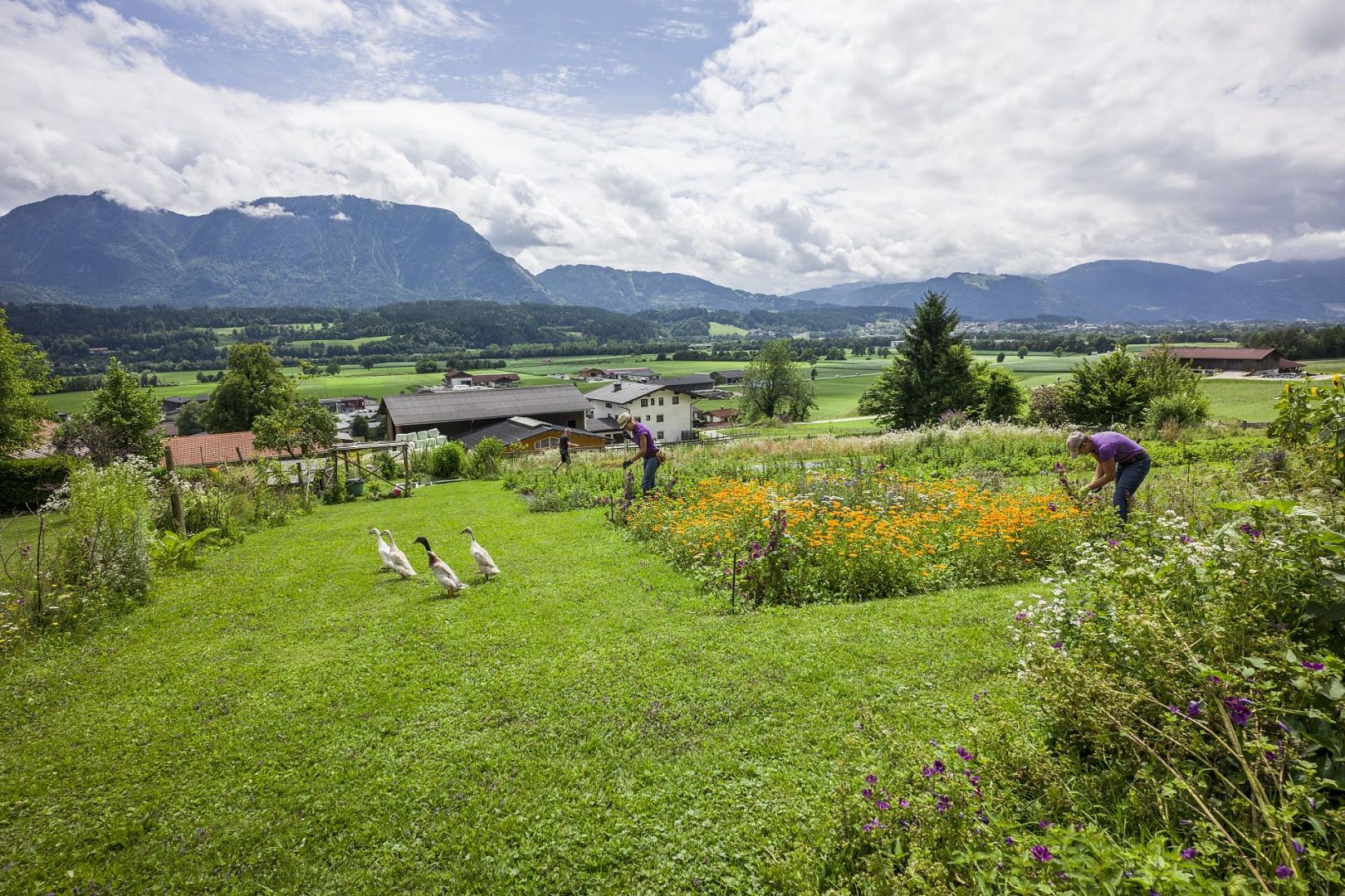 Du mchtest die Berge rund um Kufstein richtig kennenlernen? Fr diesen Guide haben wir die besten Bergtouren rund um Langkampfen aus unserer Die 12 schnsten Bergtouren rund um Langkampfen | Komoot