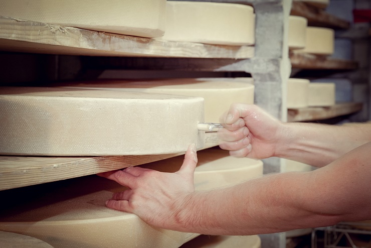 almkaeserei_aschinger_alm_ebbs_17