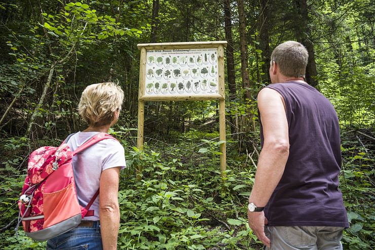 bienenweg_thiersee (12)