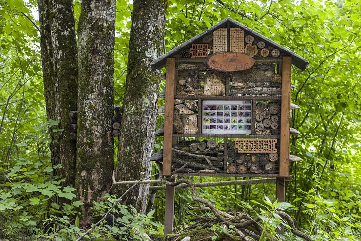 bienenweg_thiersee (16)