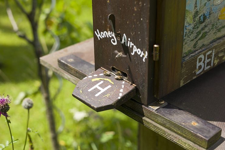 bienenweg_thiersee (2)