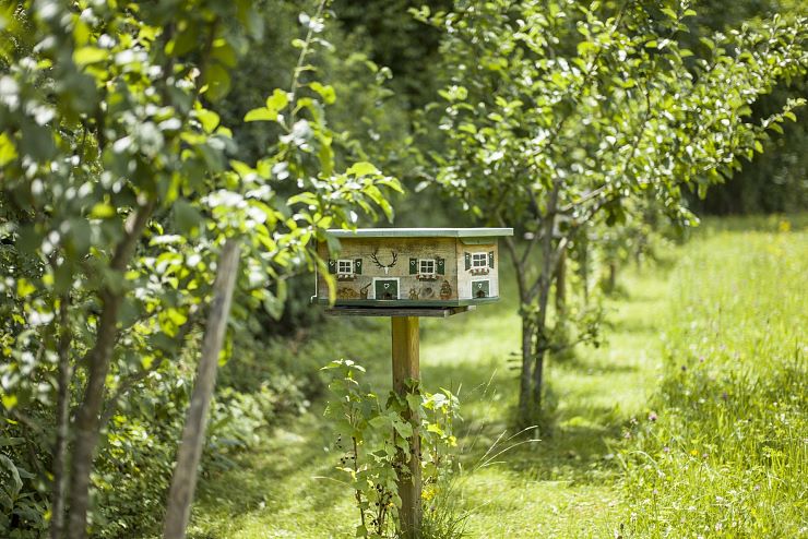 bienenweg_thiersee (3)