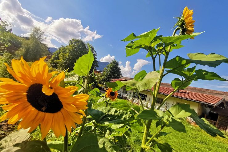 bierol_schwoich_copyright_bierol (1)