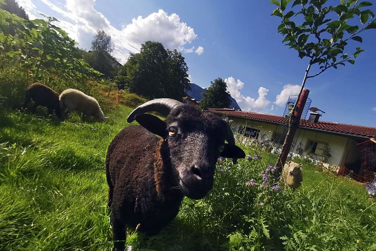 bierol_schwoich_copyright_bierol (2)