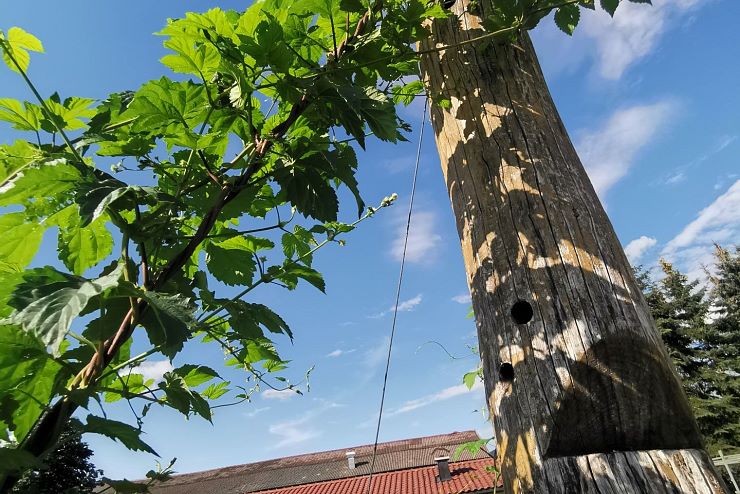 bierol_schwoich_copyright_bierol (3)