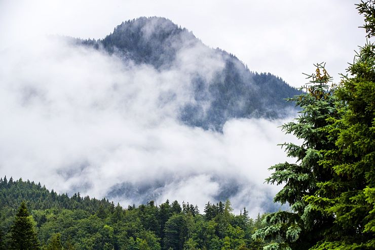 bierol_schwoich_copyright_bierol (4)