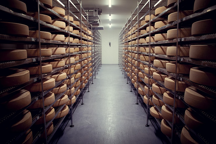 biosennerei_hatzenstaedt_niederndorferberg_10