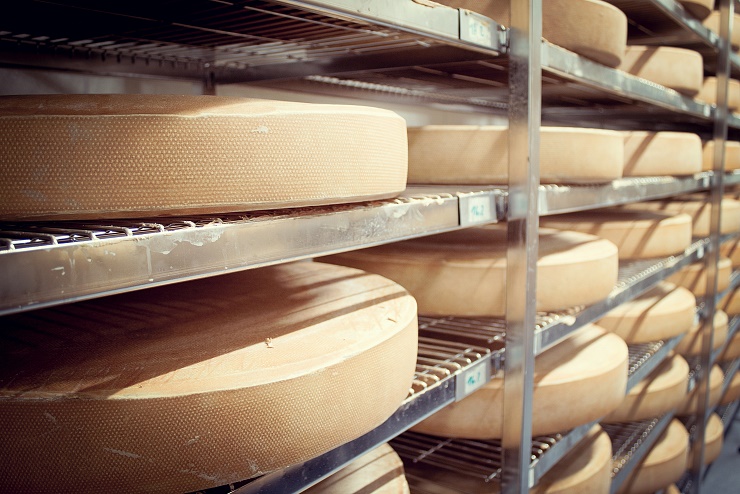 biosennerei_hatzenstaedt_niederndorferberg_11