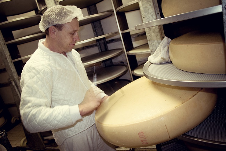 biosennerei_hatzenstaedt_niederndorferberg_15