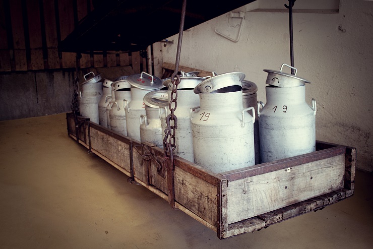 biosennerei_hatzenstaedt_niederndorferberg_18