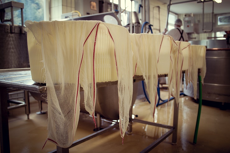 biosennerei_hatzenstaedt_niederndorferberg_4