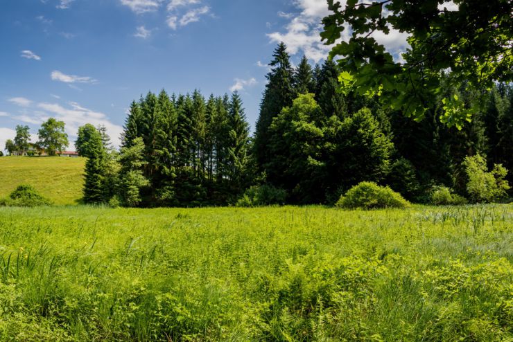 erlebnis_der_sinne_bad_haering_copyright_sven_roscher (79)