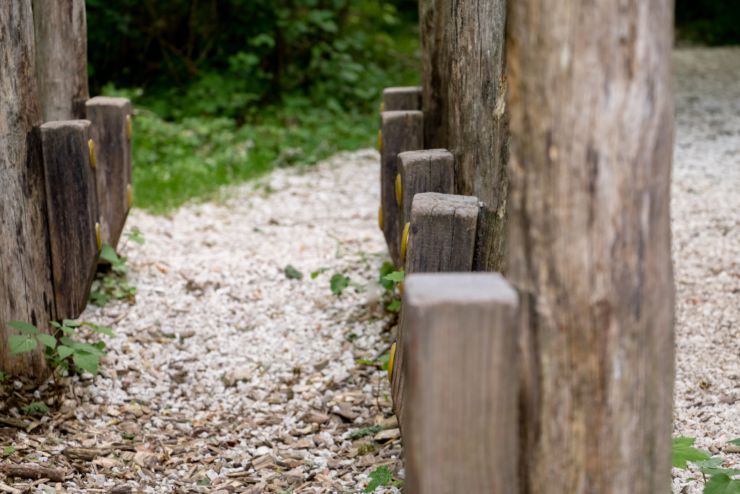 forstmeile_niederndorf_copyright_sven_roscher (24)