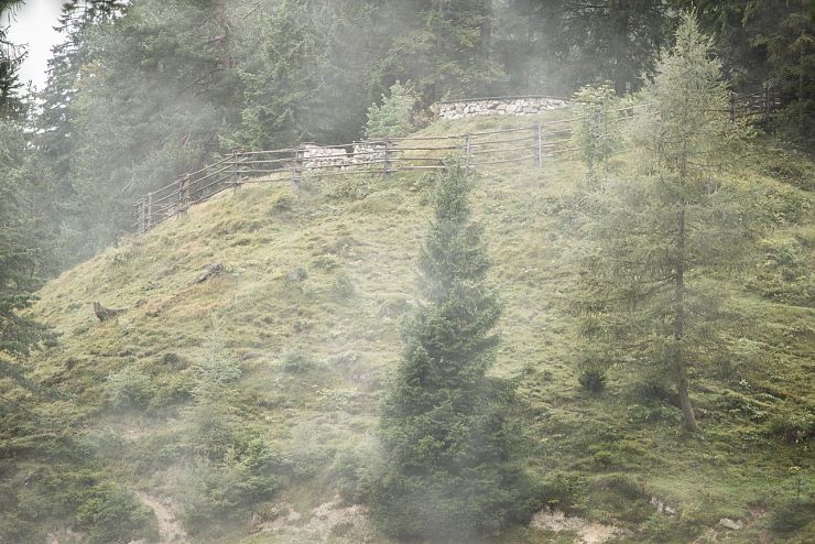 frei_raum_zeit_kufstein (8)