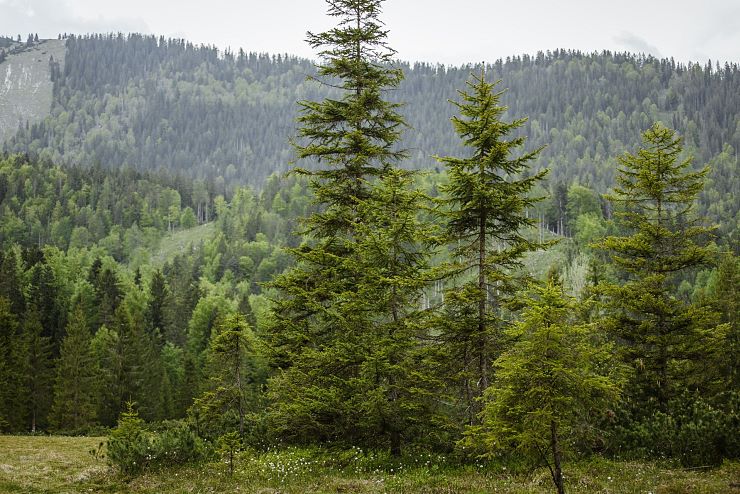 hochmoor_riedenberg_6