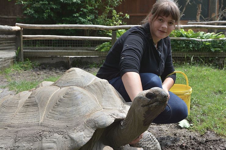 raritaetenzoo_ebbs_copyright_hubert_berger (4)