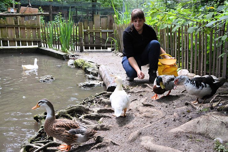 raritaetenzoo_ebbs_copyright_hubert_berger (9)