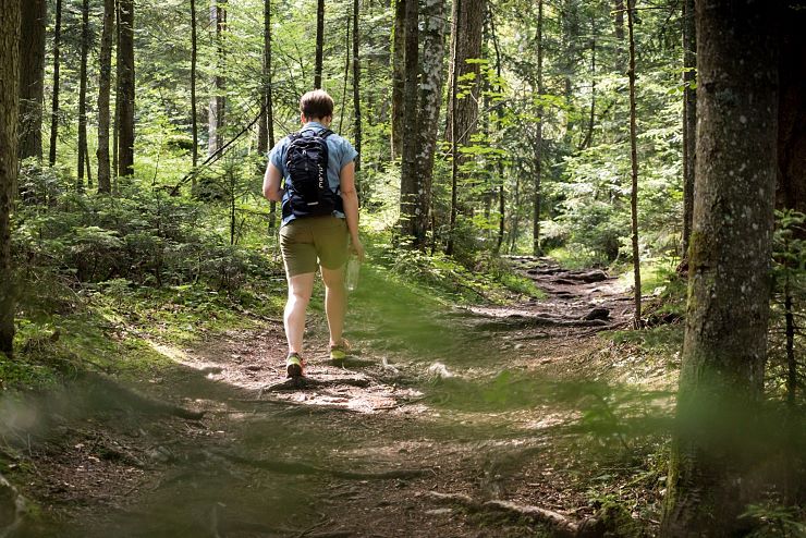 rueck_dich_gesund_pfad_bad_haering_copyright_sven_roscher (3)