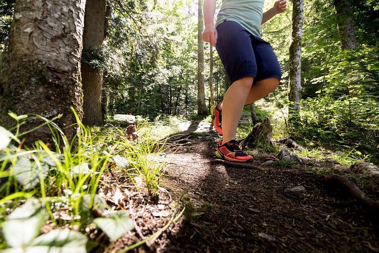 rueck_dich_gesund_pfad_bad_haering_copyright_sven_roscher (49)