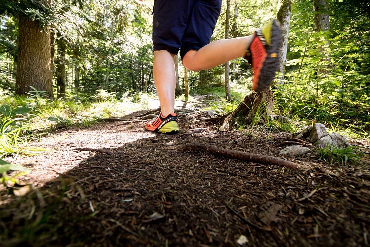 rueck_dich_gesund_pfad_bad_haering_copyright_sven_roscher (51)