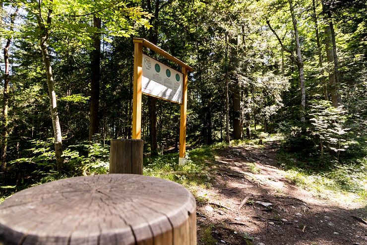 rueck_dich_gesund_pfad_bad_haering_copyright_sven_roscher (54)