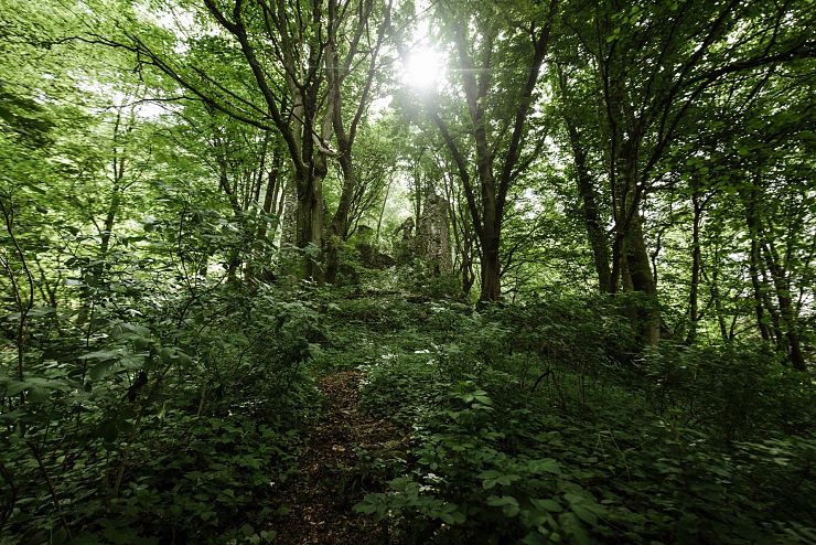 ruine_katzenstein_erl_1