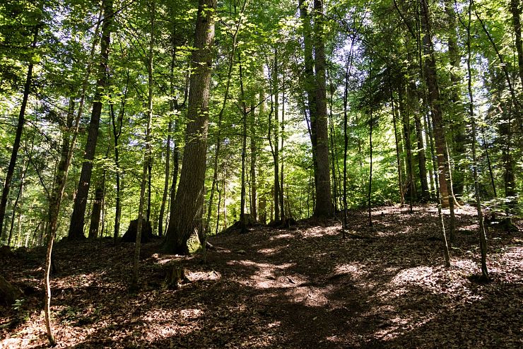 seemeile_schwoich_copyright_sven_roscher (2)