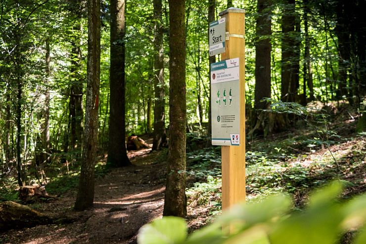 seemeile_schwoich_copyright_sven_roscher (21)