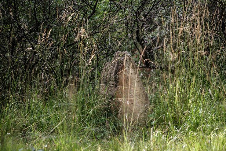 steinkreis_riedenberg_thiersee_5