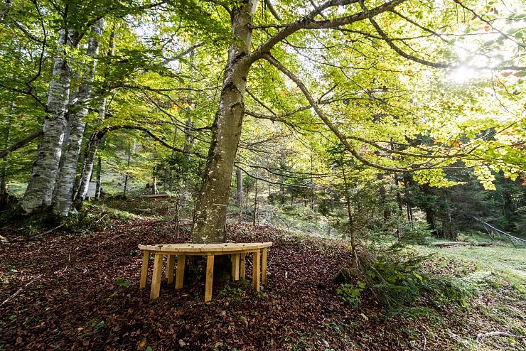 waldbad_riedenberg_thiersee_copyright_sven_roscher (14)