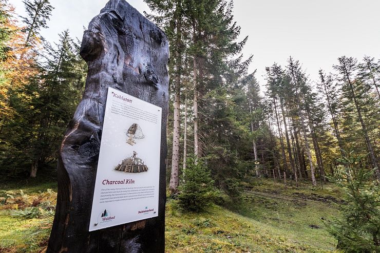 waldbad_riedenberg_thiersee_copyright_sven_roscher (15)