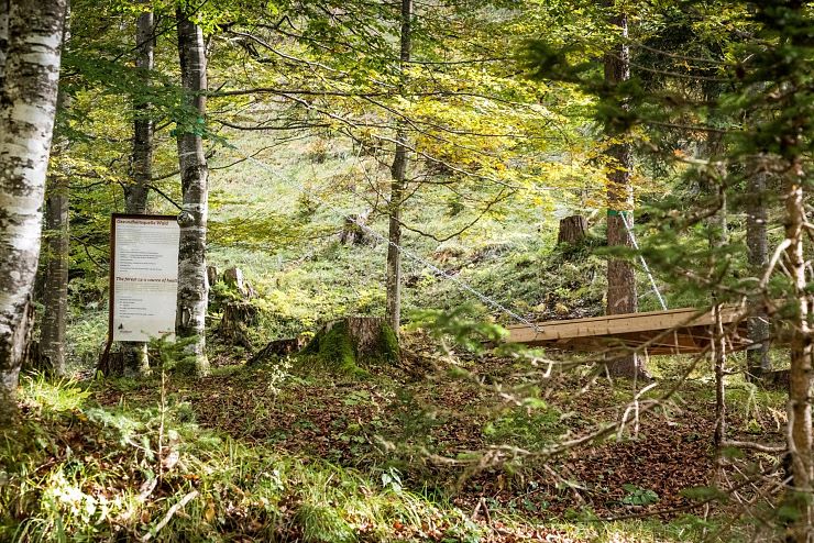 waldbad_riedenberg_thiersee_copyright_sven_roscher (20)