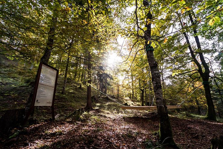 waldbad_riedenberg_thiersee_copyright_sven_roscher (9)