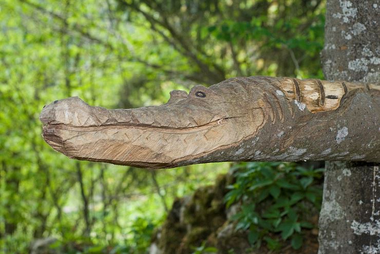 waldseilgarten_oberaudorf_hocheck_3